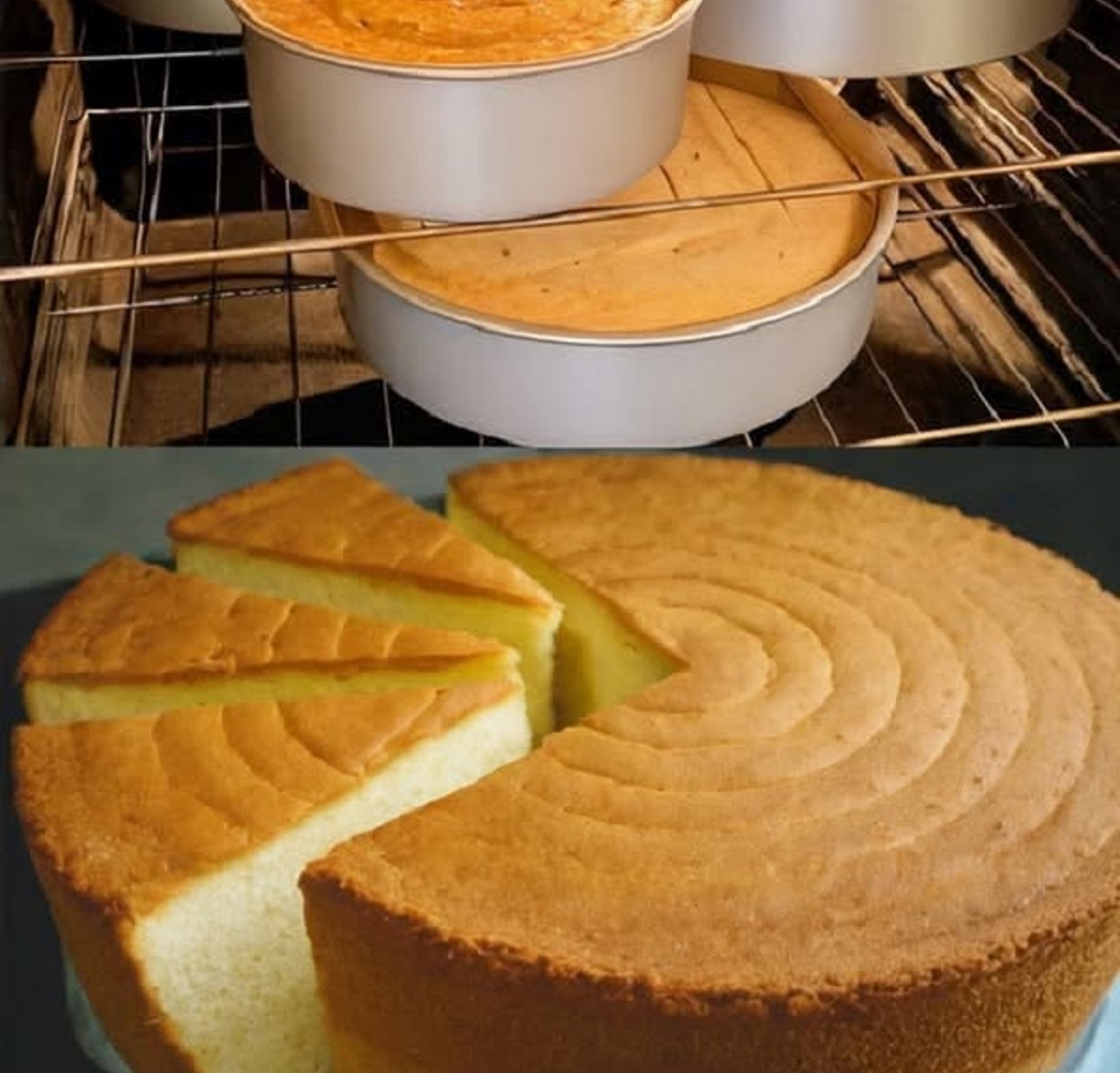 Delicious homemade fluffy blender cake on a decorative plate
